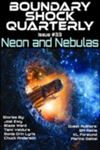 Boundary Shock Quarterly #29